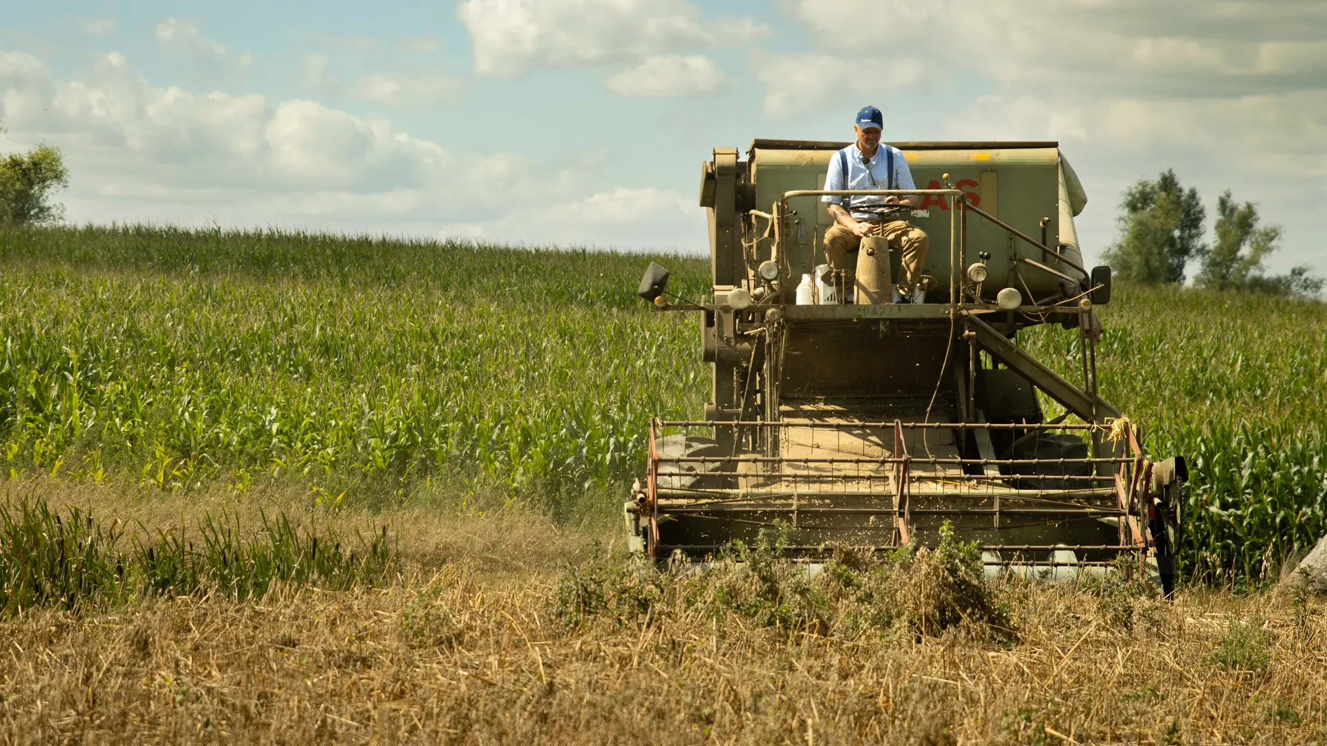 Werner & Robby retten die Ernte (Folge 2)